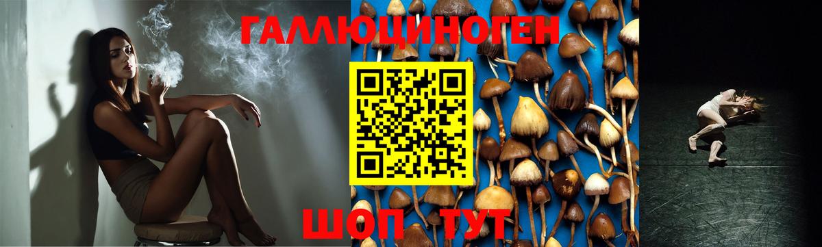 Псилоцибиновые грибы Psilocybe  Вход с VPN  Изобильный 